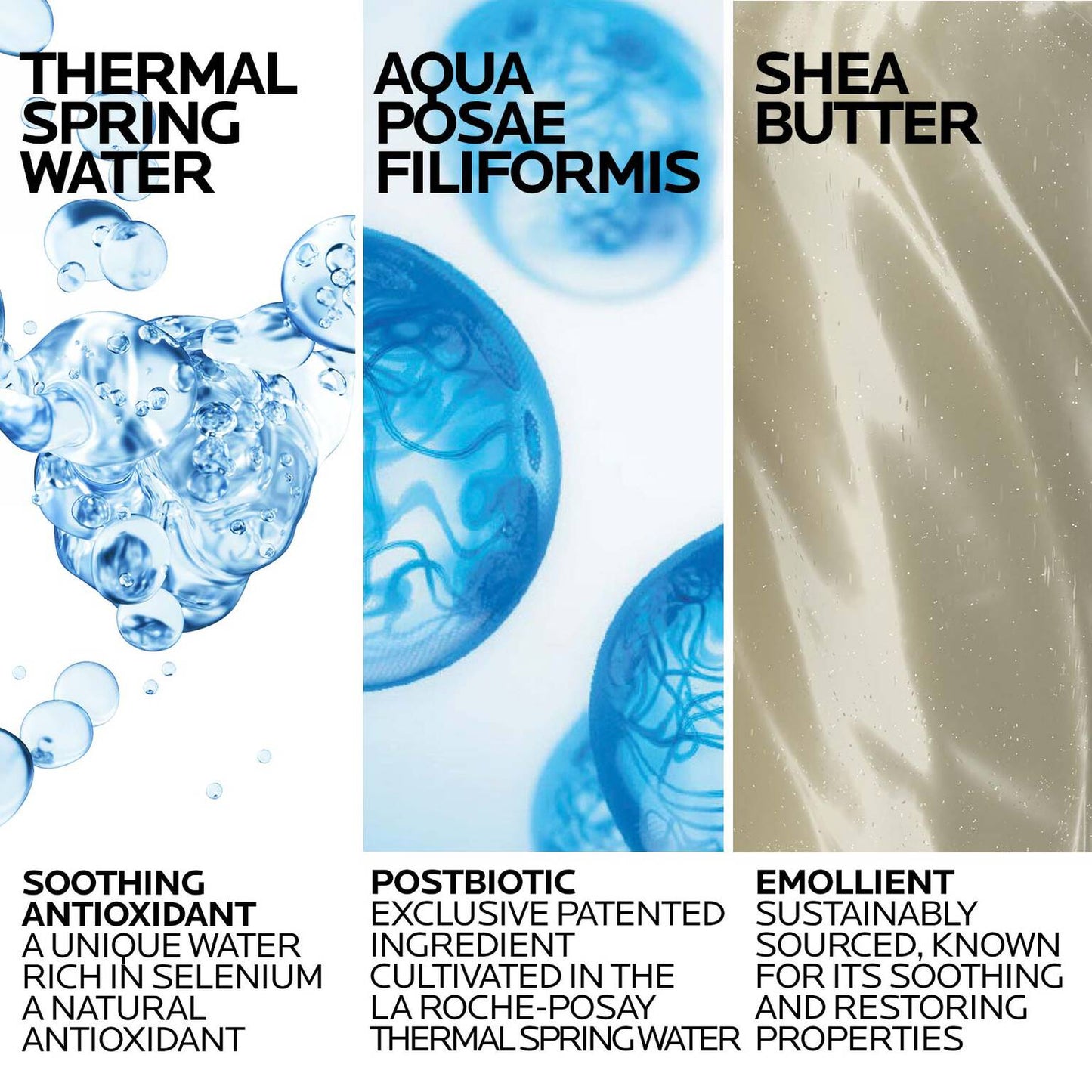 lipikar-wash-ap-moisturizing-body-and-face-wash-e8 Lipikar-Wash-ingredients_1500x1500-REV.jpg